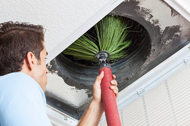 Best Emergency Air Duct Cleaning  in Citronelle, AL